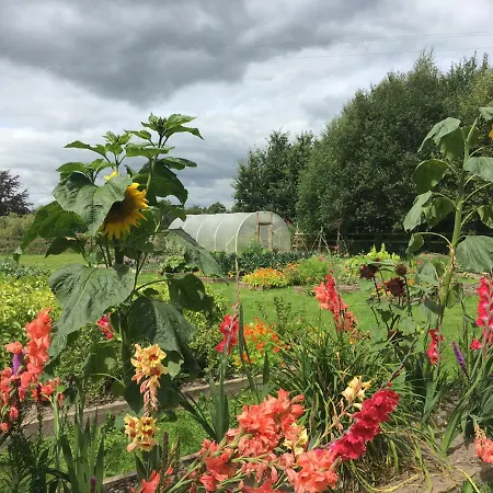 Hotwell House * Enfield