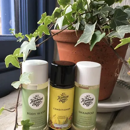 Εξοχικό σπίτι Hotwell House Enfield